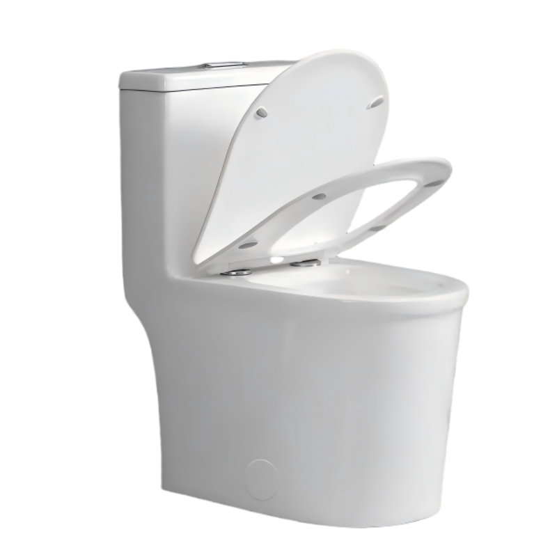 Toilette compacte une pièce à double chasse Yingze, conception à faible profondeur de 23 po pour les petites salles de bain et les salles d'eau, cuve ronde moderne avec siège à fermeture douce et système de chasse à siphon à haut rendement