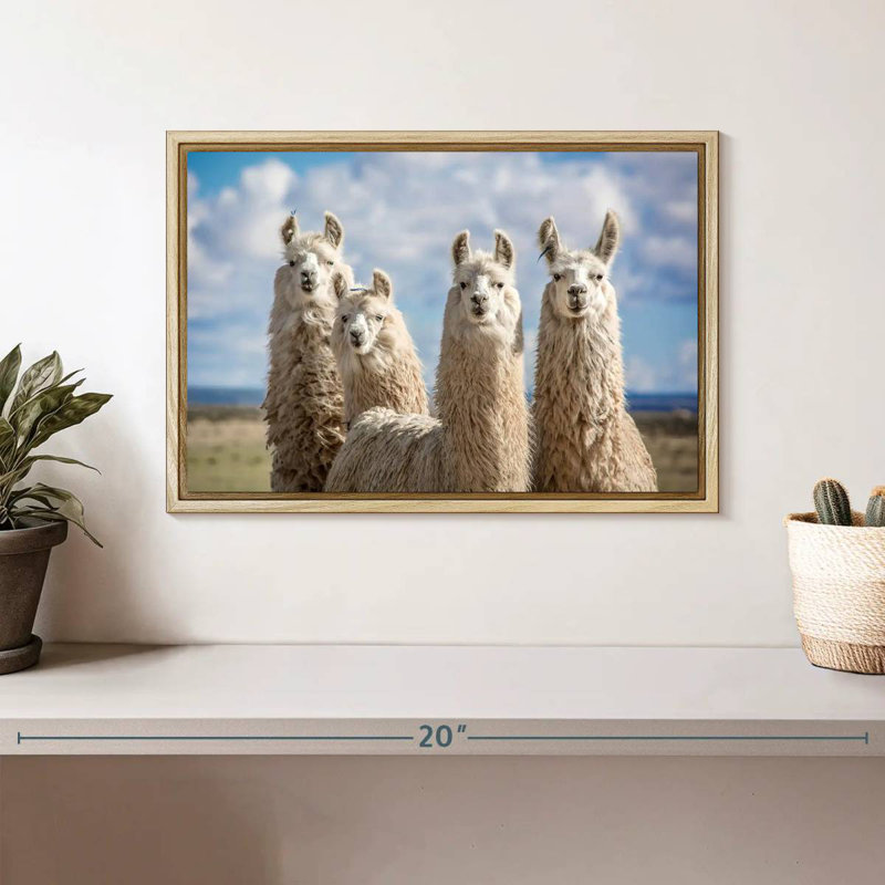 Lamas blancs moelleux, Cadre flottant en bois naturel, 13 po x 9 po