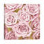 Pink Roses On Gold by Kate Bennett - Print on Canvas-101413714-101413713