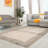 Mclellan Viscose Oriental Indoor Rug