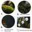 «Enchanted Lion Wilderness Fantasy» sur toile-1751743788-1751743789