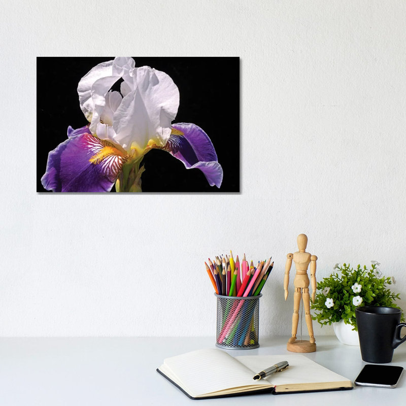 White And Purple Iris by Brian Wolf - Wrapped Canvas Gallery-Wrapped Canvas Giclée, 20.32cm H x 30.48cm W