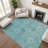 Premium Machine Washable Lubbers AMF1760 Border Rug-1106839478