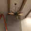 Photos des clients 1 de 1