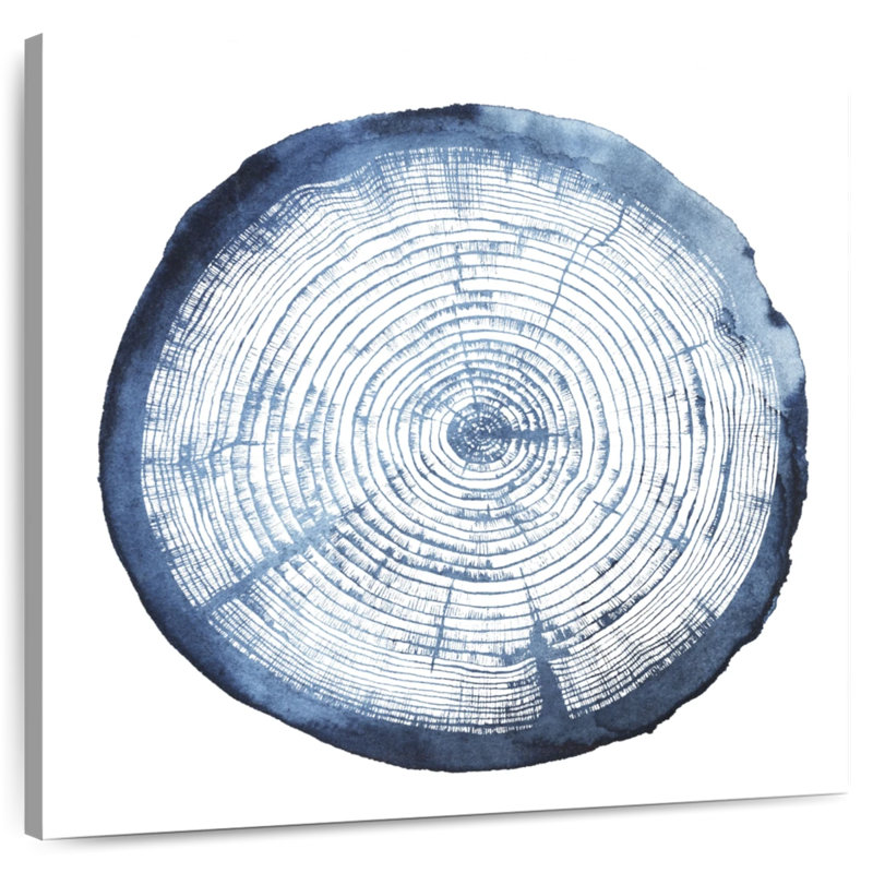 Avery Tree Ring Overlay I, 30" H x 30" W