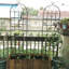 Rustproof Iron Garden Trellis Elegant Design Outdoor Climbing Plant Support