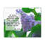 Receive The Blessing Psalm 24:5 - Wrapped Canvas Print-1546818648