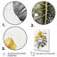 Jaune et gris, feuille de philodendron I - art mural sur toile florale-86828701-86828700