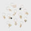 Zodiac Wine Charm Gift Set