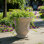 Jardinière en terre cuite à motif floral en relief avec texture antique pour la maison et le jardin - Brun clair 9 po