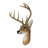 Rustic Landscape & Nature Wall Decor on Polyresin