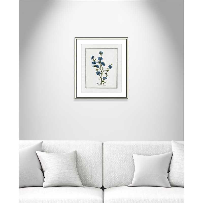 Colombe Soft Botanical I - Art encadré avec fond perdu, L 17,25 po x H 20,25 po, Cadre argenté