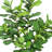 Artificial Fiddle Leaf Fig Tree in Pot-1937010912