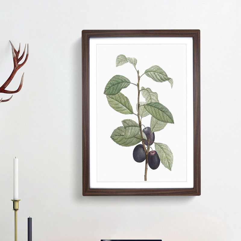 Prune Tree by Pierre-Joseph Redoute - Picture Frame Painting Print, Walnut Framed, 65cm H x 48cm W x 2cm D