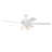 Lauresha 60'' Ceiling Fan with Light Kit-1467465468