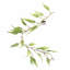 Hanging Plants 125cm Faux Foliage Plant