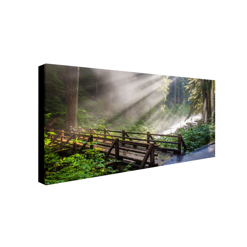 « forest soleil light », reproduction de photo sur toile tendue, H 24 po x l 47 po x P 2 po