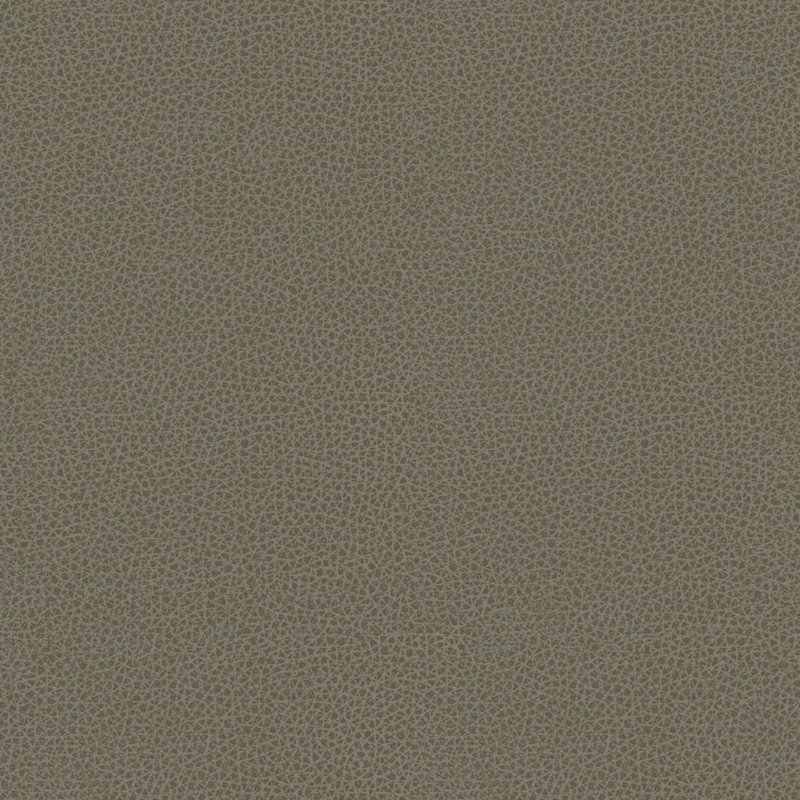 Rigel Fabric, Gray