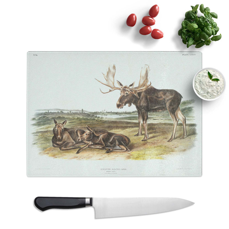 Tempered Glass Moose Deer by J.W. Audubon Chopping Board, 28.5 cm x 20 cm