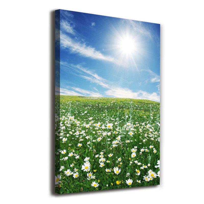 Meadow - Wrapped Canvas Print