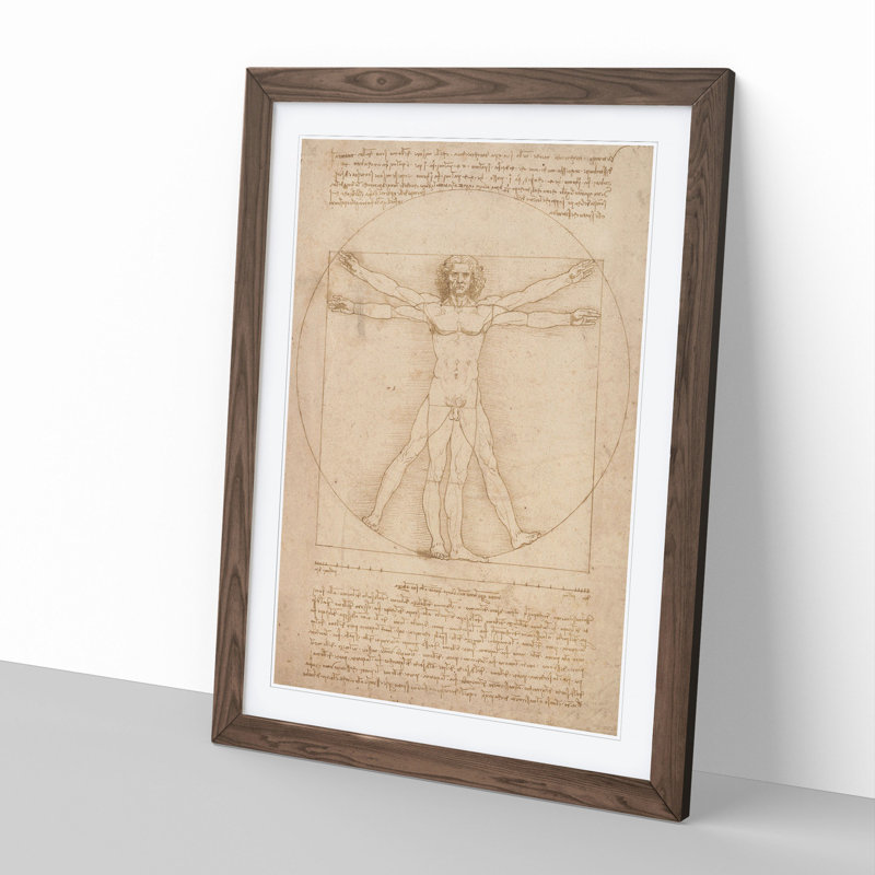 Vitruvian Man Vol.2 by Leonardo Da Vinci - Picture Frame Painting, 36cm H x 27cm W x 2cm D, Walnut
