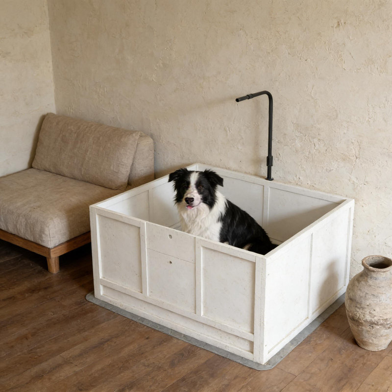 Cage à chien spacieuse et boîte de mise bas pour animaux de compagnie