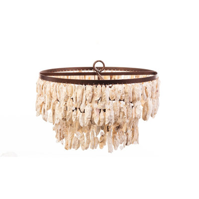 Oyster Shell 8 - Light Chandelier