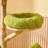Simple Solid Wood Green Cat Climbing Frame