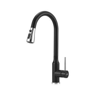 Breeins Kitchen Faucet Side Spray