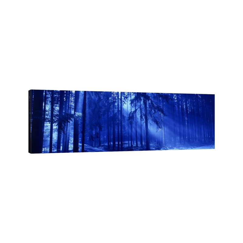Trees Titisee Germany - Wrapped Canvas Panoramic Print, 30.48 cm H x 91.44 cm W x 1.91 cm D