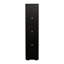 Armoire latérale noire avec lampe vibrante à bande en aluminium - Grand espace de rangement créé l 40 x P 29 x H 170 cm 48,18 lb Spacieux et fini
