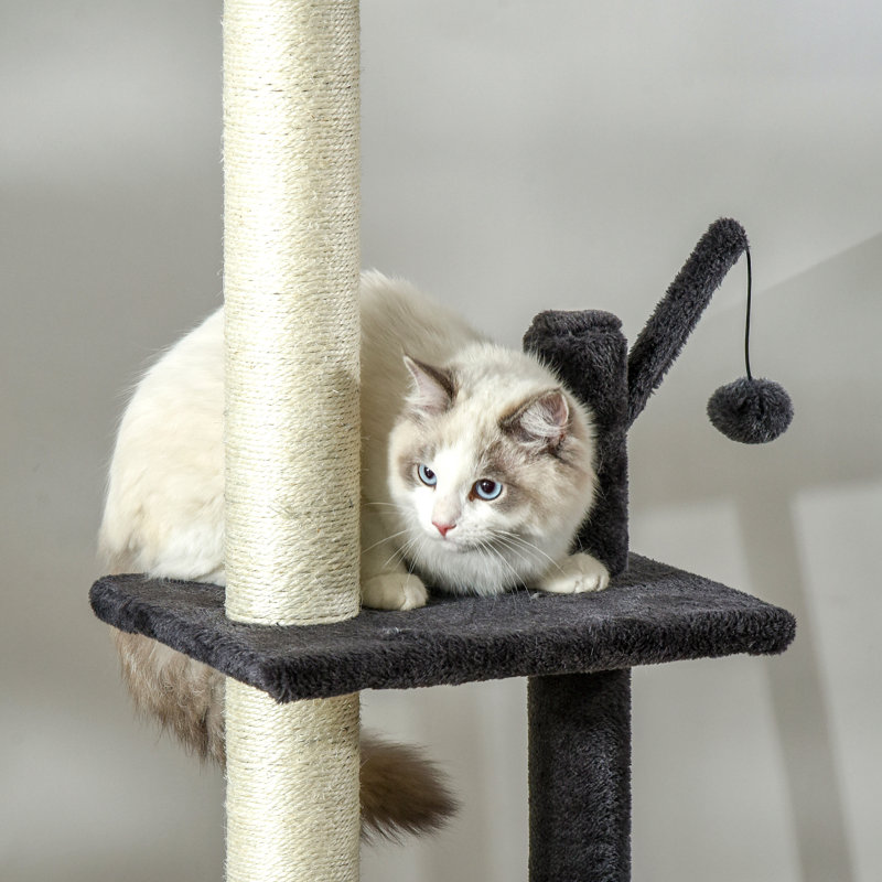 Jouet grimpant pour chat 106 po