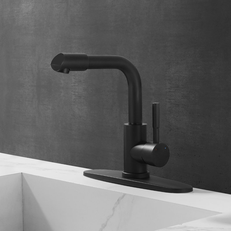 304 Stainless Steel 360°Rotating Spout Bathroom Sink Faucet with Deck Plate, Matte Black