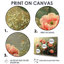 Koti cactus en pleine floraison à l'aube II - art mural cactus-837676508-837676510-837676496