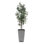 Uttermost Sonora Olive Tree In Planter