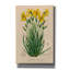 "Epis Graffiti" Sisyrinchium Longistile "par Art Licensing Studio, art mural sur toile-109176294