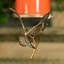31 "Long Birdhouse suspendu en métal et porcelaine orange" Amsterdam "