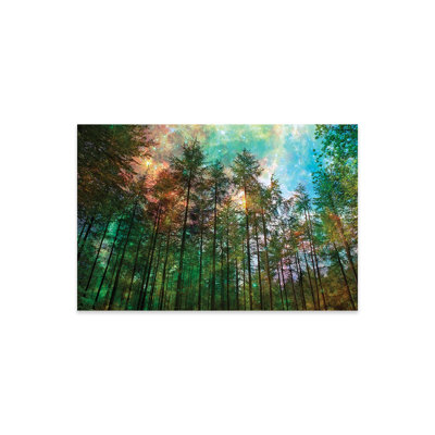 «Forest Glow» par Ros Berryman, impression sans cadre