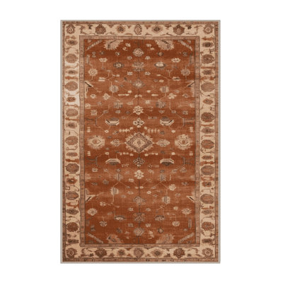 Machine Washable Overdyed Brown Area Rug