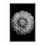 Nature Inspired Marigold by  - Picture Frame Photograph on Paper-131284589-131284511-81388028