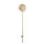 Moscato 1-Light Wallchiere
