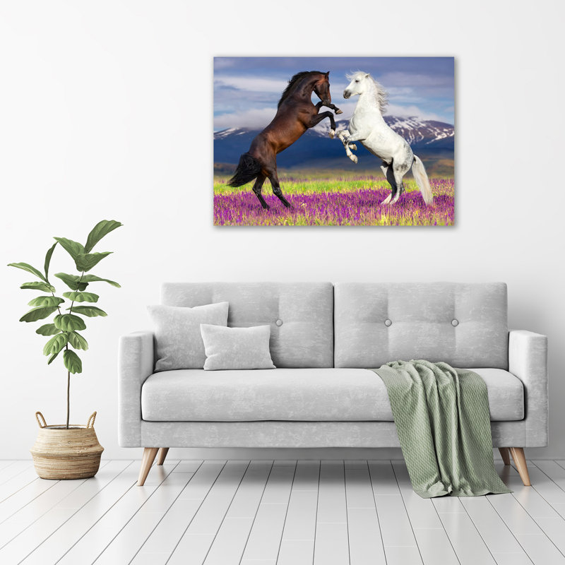 Horses Fighting Mountains - No Frame Print on Canvas