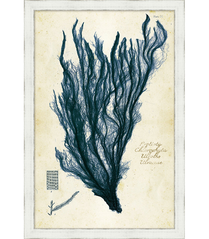 Peinture sur cadre Indigo Sea Grass I