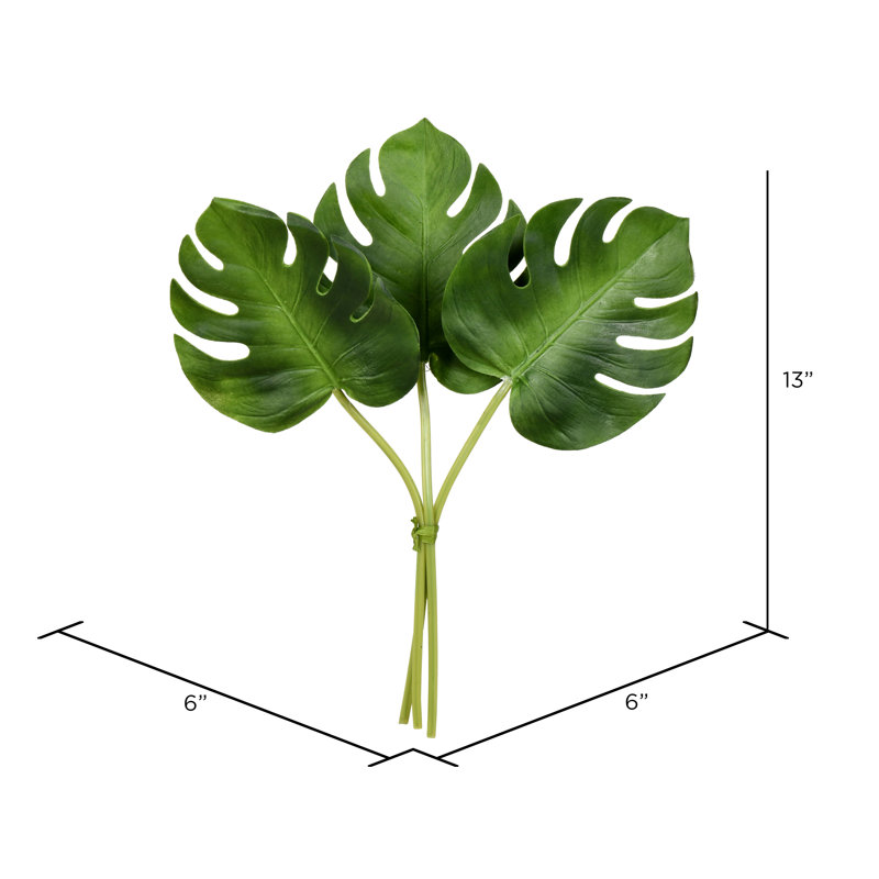 Vaporisateur à feuilles divisé Phile