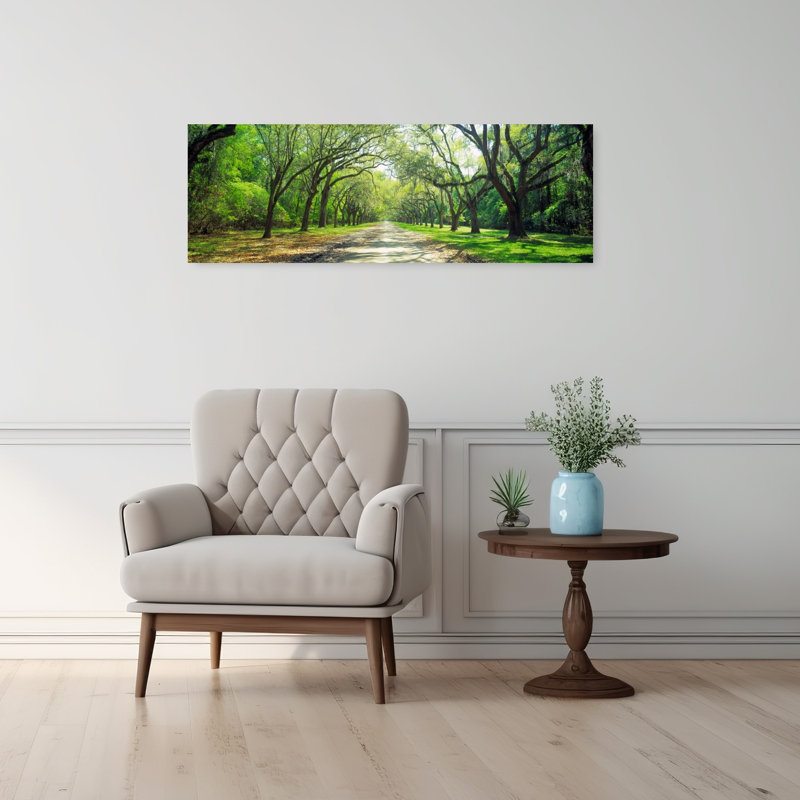 Live Oaks And Spanish Moss Wormsloe State Historic Site Savannah Georgia by Walter Bibikow - Wrapped Canvas Panoramic Print