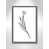 Silver Framed Canvas