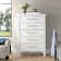 Jonnathan 5-Drawer Chest