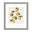 Amalfi Lemons - cadre photo, impression-66318803-66318807