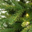 Sapin de Noël artificiel pré-illuminé de 120 cm avec pot en plastique imitation rotin et guirlandes lumineuses DEL blanc chaud scintillantes
