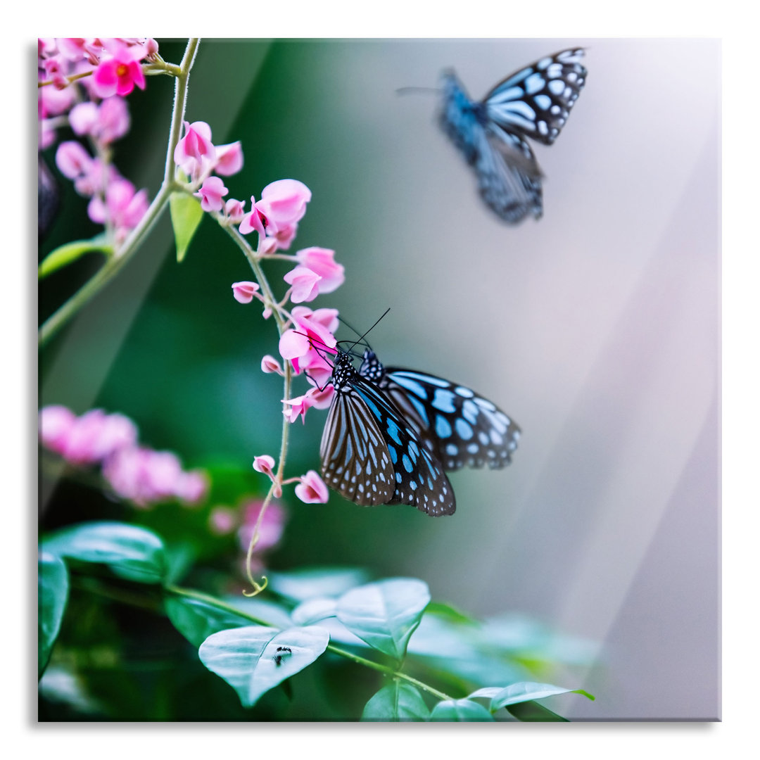 Glasbild Schmetterlinge auf Rosa Blumen